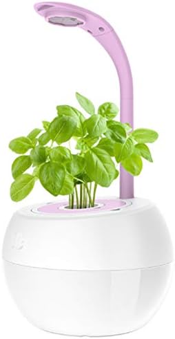 WARM WORM Mini Smart Garden with Grow Light, Hydroponics Growing System, Auto Sensor Timer Gardening Kit 360 Adjustable Desk Lamp, Best Gifts for Mom,Purple