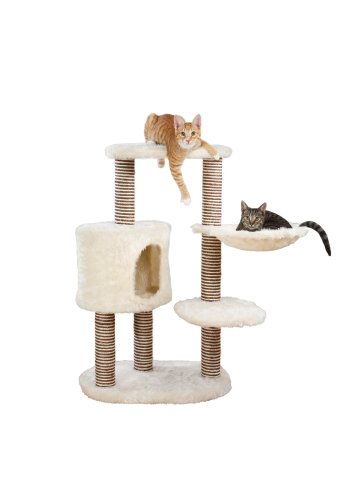 Trixie Pet Products Moriles Cat Tree House, Cream