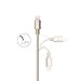 Aonear Lightning Cable 2Pack 10Ft 8Pin Gold iPhone Charging Cable USB Data Cable for iPhone 6/6s/6 Plus/5/5c/5s