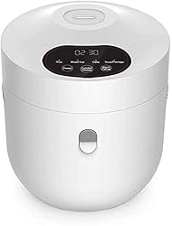 GUANGZHIAN Smart Small Portable Travel Electric