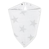 aden + anais Classic Bandana Bib, Stardust