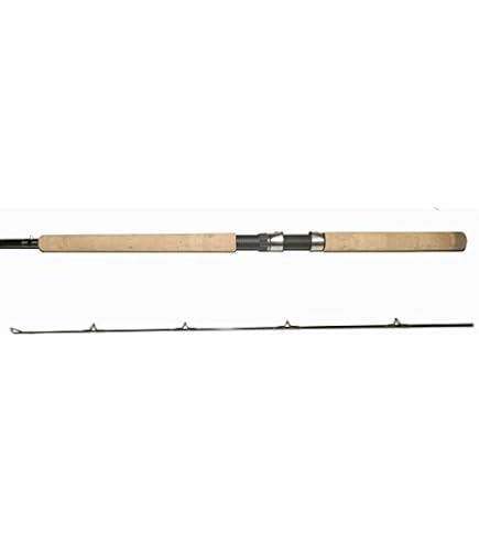 Shimano COMPRE Salmon/Steelhead BC MOOCHING, Freshwater, Salmon, Steelhead, Mooching, 10'6