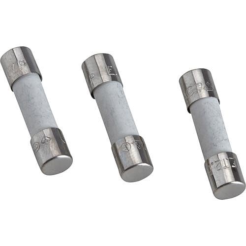 Worcester Security T 2.5 A (10 Pieces), Junkers, 19045213420 Fuses x10, Colour May Vary