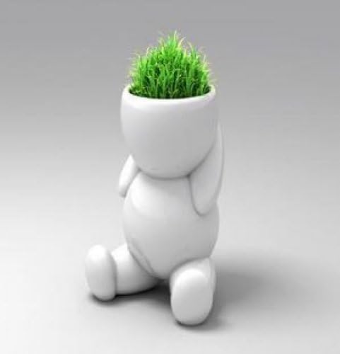 Mini Sit Bonsai Grass Doll Hair Man Potted Plant P07