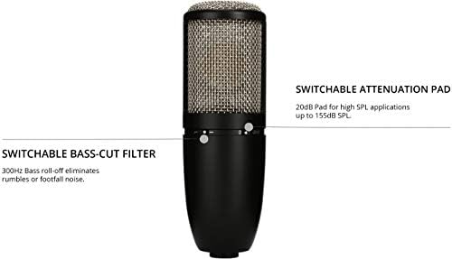 Compact blue blucoil microphone audio filter for AKG P420.