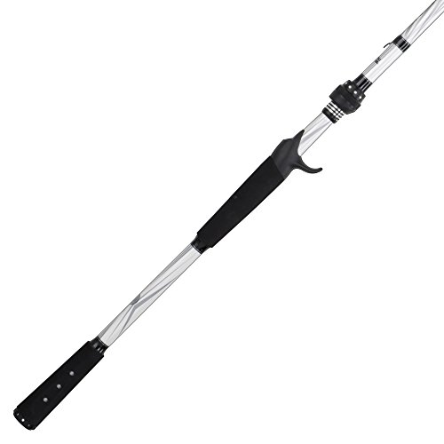 Abu Garcia Veritas 2.0 Casting