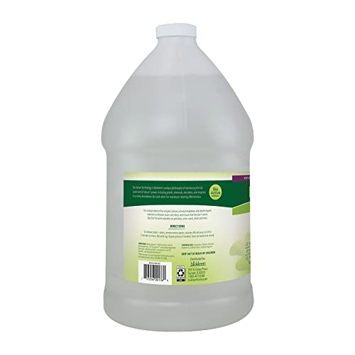 Biokleen BacOut Pet Stain Remover 2 Gallon Enzymatic, Natural