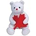 1 X TY Beanie Baby - NORTHLAND the Bear (Canada Exclusive)