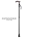 Rirether Lightweight Aluminum Alloy Walking Cane, Adjustable Walking Stick Balancing Mobility Aid, Portable Sturdy Telescoping Cane with Anti-Slip Tip, Carrying Bag (2Tips)