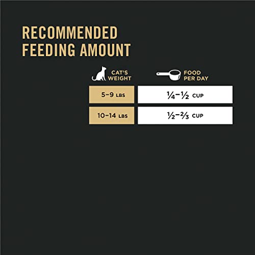PURINA PRO PLAN ALLERGEN REDUCING, SENSITIVE SKIN & STOMACH, HIGH PROTEIN CAT FOOD, LIVECLEAR TURKEY AND OATMEAL FORMULA – 5.5 LB. BAG