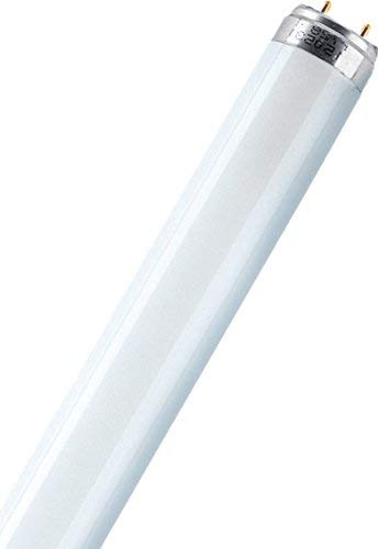 Osram L18860 - 18W 600mm / 2ft Daylight Triphosphor T8 Fluorescent Tube G13 Cap