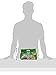 Baijia Instant Noodles, Artificial Pickled Cabbage Fish Flavor, 19.4 Ounce