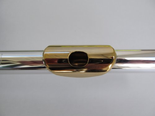 Gemeinhardt 3SHB Flute with Inline G, B Foot and Gold Lip Plate