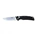 Knife F7542 GANZO Firebird Pocket Folding Hunting Knife G-10 Handle SS Blade (Black)