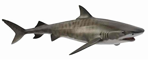 CollectA Sea Life Tiger Shark Toy Figure - Authentic Hand Painted Model