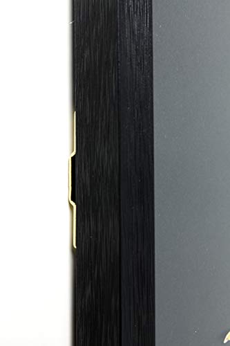 Kare-Design-Bild-Frame-Art-Betta-Fish-Colore-Right-Quadratisches-Bild-mit-Bilderrahmen-in-der-Farbe-Schwarz-Fisch-Motiv-in-bunten-Farben-65x65cm-HBT-65x65x3cm