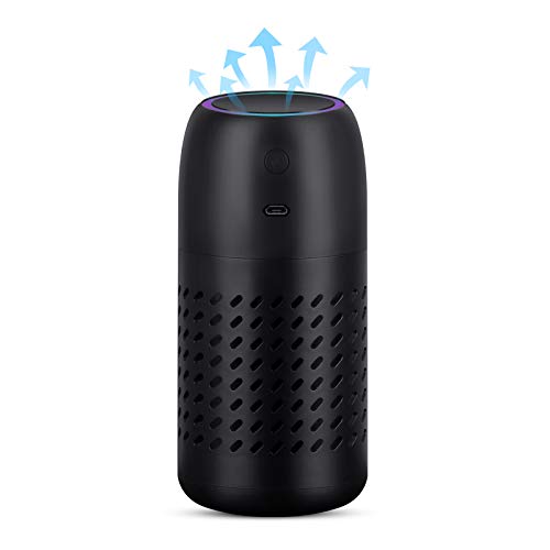BLANDSTRS Portable Air Purifier with True HEPA for Home Bedroom 20db Quiet Air Cleaner(5.11x2