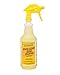 Greenwald's Carpet, Fabric & Upholstery Cleaner and Stain Remover. Spray Bottle + Enough to Make 3 quarts
