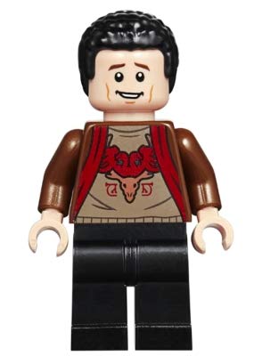 LEGO Harry Potter Viktor Krum Reddish Brown Minifigure from 75946 (Bagged)