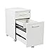 OSP Designs Pro-Line II PRD3085-WH Prado Mobile File in with Hidden Drawer and Castors, White
