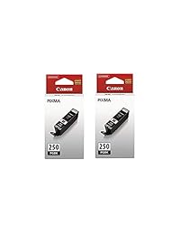 2 x 250pgbk Inkjet Cartridge
