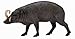 Collect A Wildlife Sulawesi Babirusa Toy Figure - Authentic Hand Painted Model