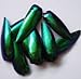 100 JEWEL BEETLE ELYTRA WINGS TAXIDERMY