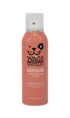 Wags & Wiggles Refresh Deodorizing Aerosol Dog Spray in Zesty Grapefruit | Dog Grooming Deodorizer Spray, 3.5 Ounces