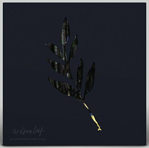 An Orchestrated Rise To Fall Blue & Yellow Starburst