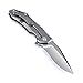 KIZER Cutlery Folding Pocket Knives Clip Point Blade Flipper Knife Frame Lock Titanium Handles Flipper Knife, Uprising Ki4491A1