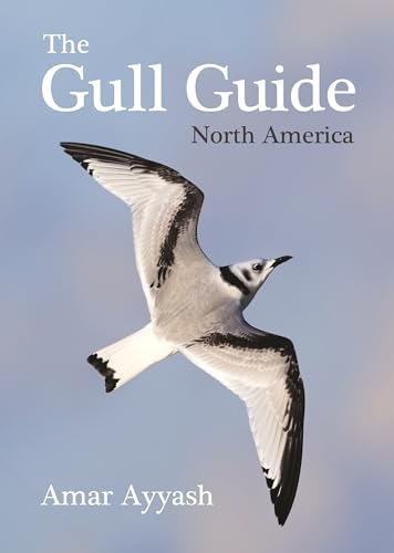 Amazon.com: Gulls of Europe, North Africa, and the Middle East: An
