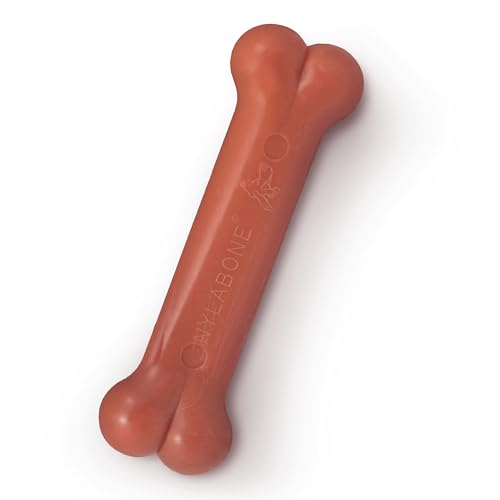Nylabone Jouet à mâcher résistant Dura, arôme Bacon - Jouet à mâcher pour chiens à mâchouillage extrême - Extra Small - Pour les chiens pesant jusqu’à 7kg