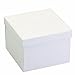 Diplomat 32-086 Synthetic Leather Watch Case