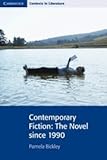 Contemporary Fiction: The Novel since 1990 (Cambridge Contexts in Literature)