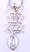 Messianic Seal Necklace Hebraic Roots Gold Grafted Comes In A Gift Pouch