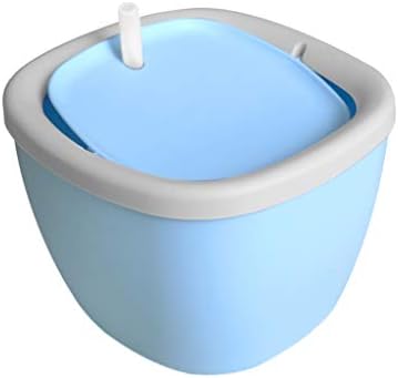 cat drank blue toilet water