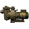 Amazon.com : Pentair 011018 IntelliFlo Variable Speed High