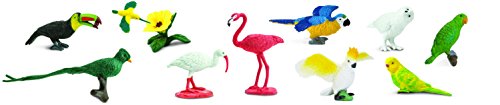 Safari Ltd Exotic Birds TOOB – Comes With 13 Different Hand Painted Toy Figurine Models – Including Parakeet, Macaw, Humming Bird, Toucan, Ibis, Cockatoo, Flamingo, Owl, And More – For Ages 3 And Up
