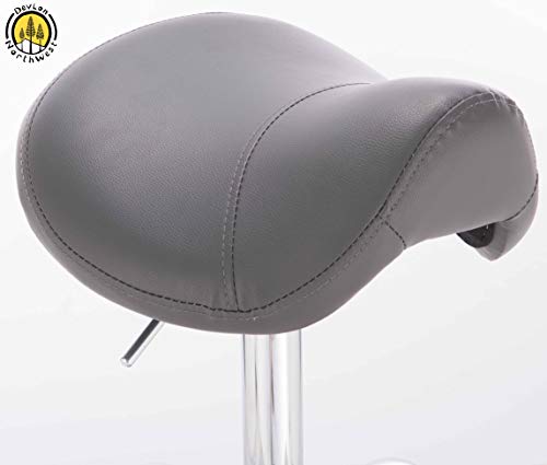 DevLon NorthWest Professional Saddle Stool Series Hydraulic Swivel Comfortable Ergonomic with Heavy Duty Metal Base for Clinic Dentist Spa Massage Salons Studio (GRAY)