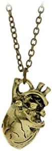 anatomical heart necklace vintage anatomy heart antique silver and bronze pendant jewelry for men and women (bronze)