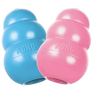 KONG - Puppy Toy Natural Teething Rubber - Fun to Chew, Chase & Fetch - For Small Puppies (Colour May Vary)
