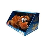 LOL (Laugh Out Loud) Rollovers- Brown Labrador Dog