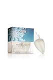 Bath & Body Works Winter Wallflowers Refills
