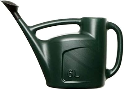 Accurate 6L Watering Can with Sprinkler Rose Green garden tool