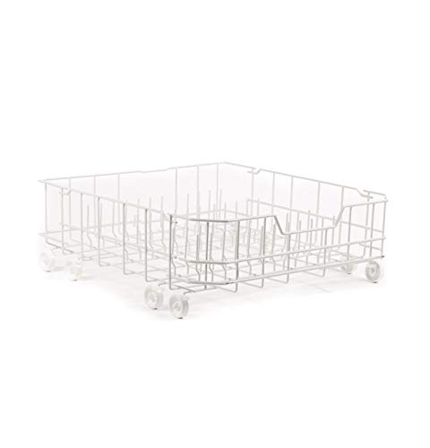 squat rack available now