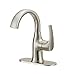 Jacuzzi Lyndsay (0749707) Brushes Nickel Single Handle Faucet