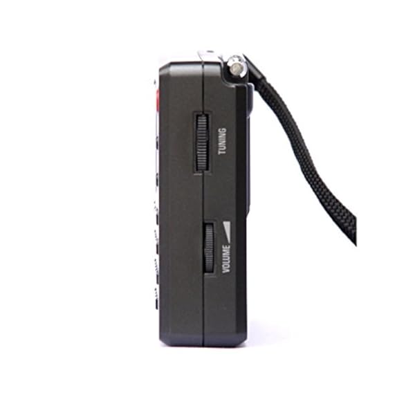 Radio TECSUN PL-380 FM AM Onda Corta DSP ETM - Imagen 4