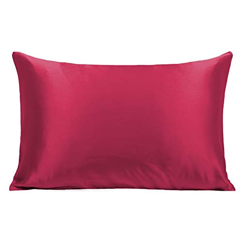 Ravmix 100% Natural Silk Pillowcase for Hair and Skin with Hidden Zipper Standard 21 Momme Hypoallergenic Soft Breathable Both Sides Silk, 20Ã—26inch, 1pcs, Wine Red