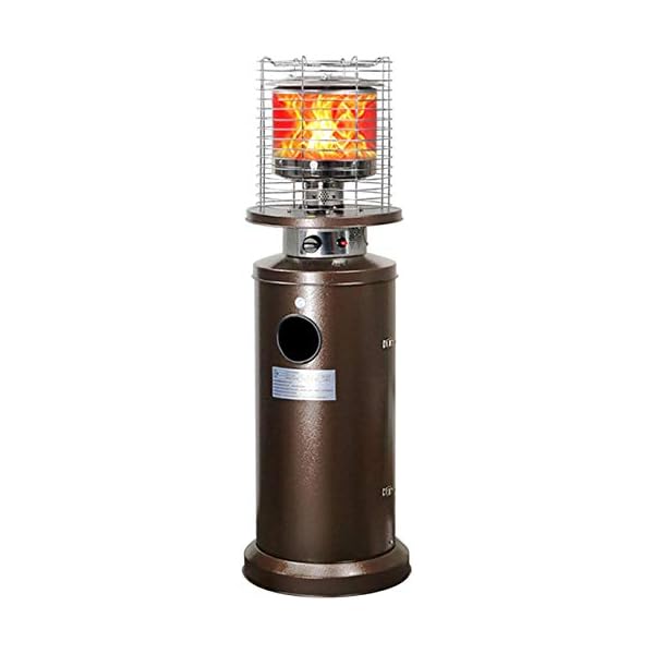 AYCYNI Setas Estufa, calentando el Acero Inoxidable Calentador de