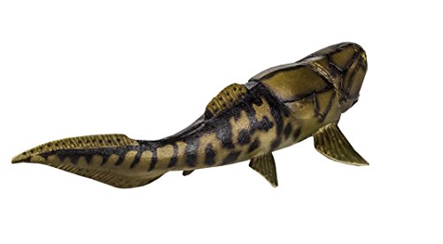 Safari Ltd  Wild Safari Dunkleosteus